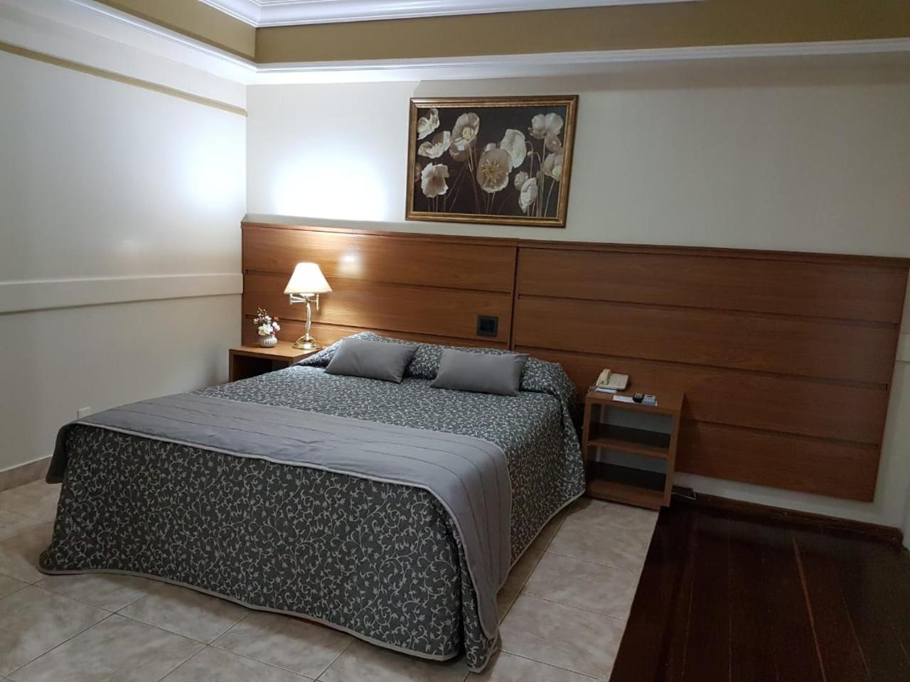 Tamareiras Park Hotel Убераба Екстер'єр фото